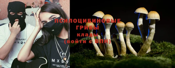 мдпв Магадан